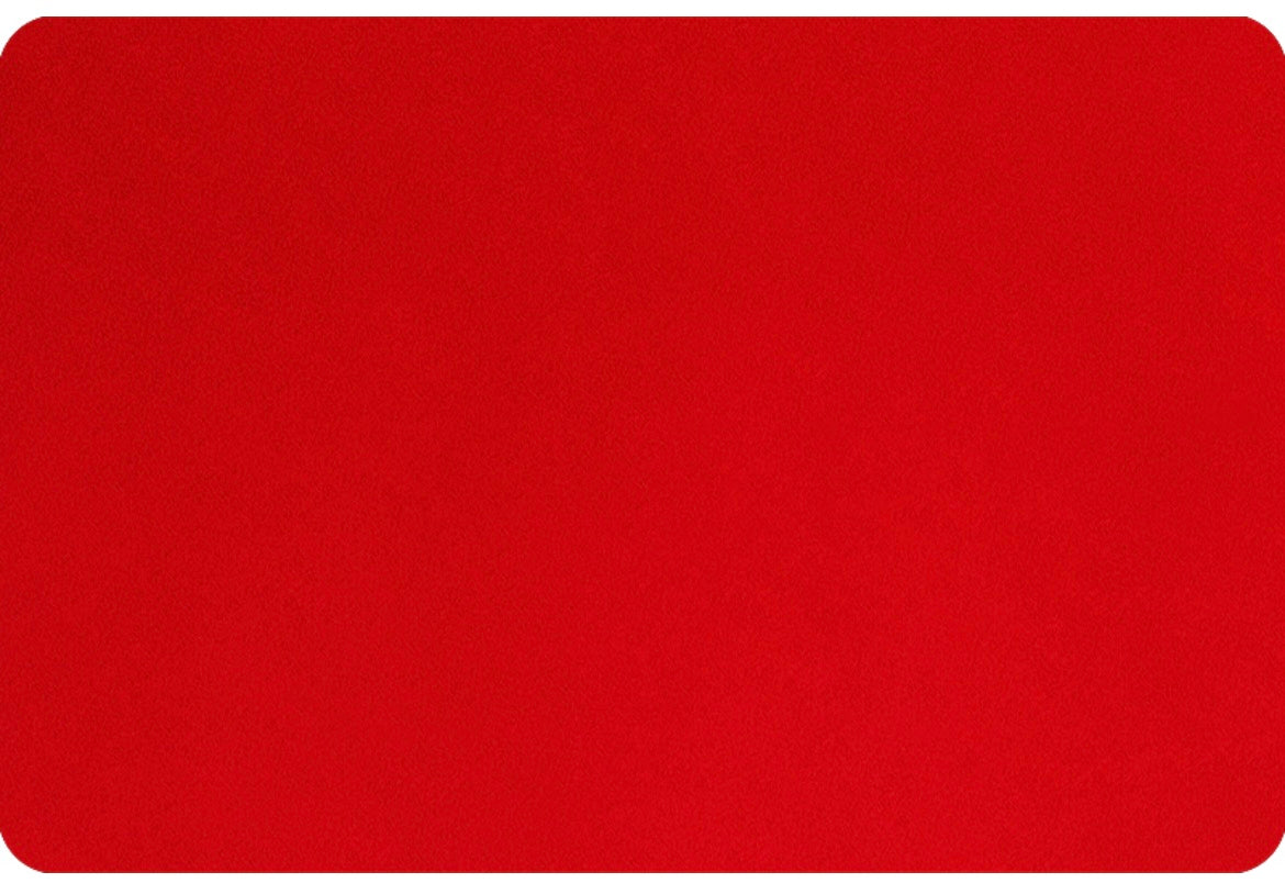 C390" Smooth Minky The Minky Corner