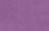 VIOLET C3