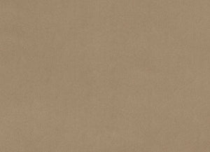 Simply taupe c3 extra wide 90”, Simply taupe c3 extra wide minky 