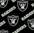 RAIDERS