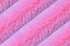 Unicorn Frosted Baby Seal