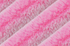 Pink Lemonade Frosted Baby Seal