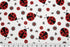 LADYBUG - Scarlet Digital Cuddle